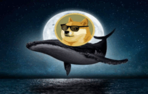 balene dogecoin