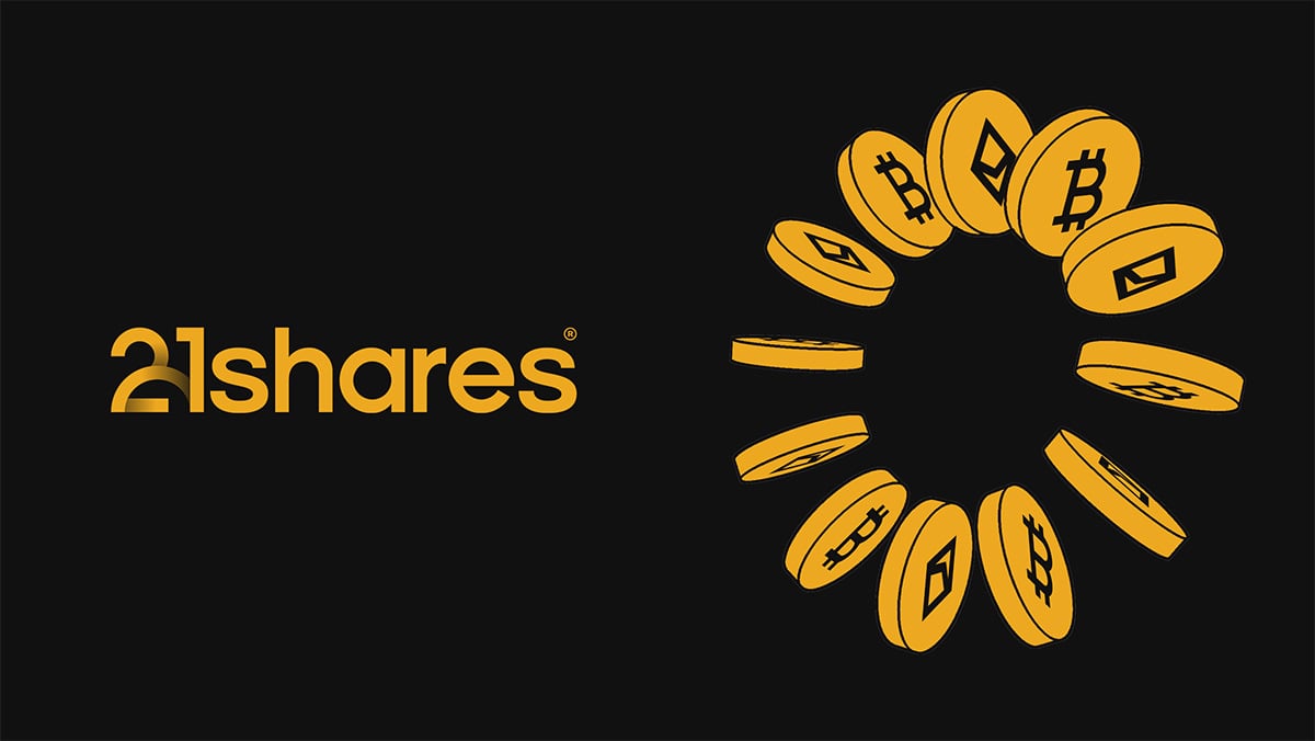 SEC timing debate and regulatory risk SEC timing debate and regulatory risk