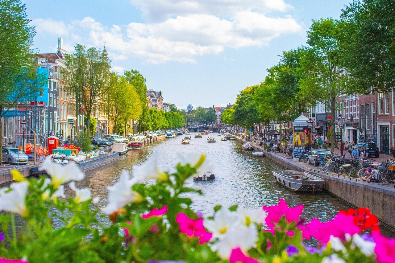 Stablecoin: Plasma secures VASP license in Amsterdam