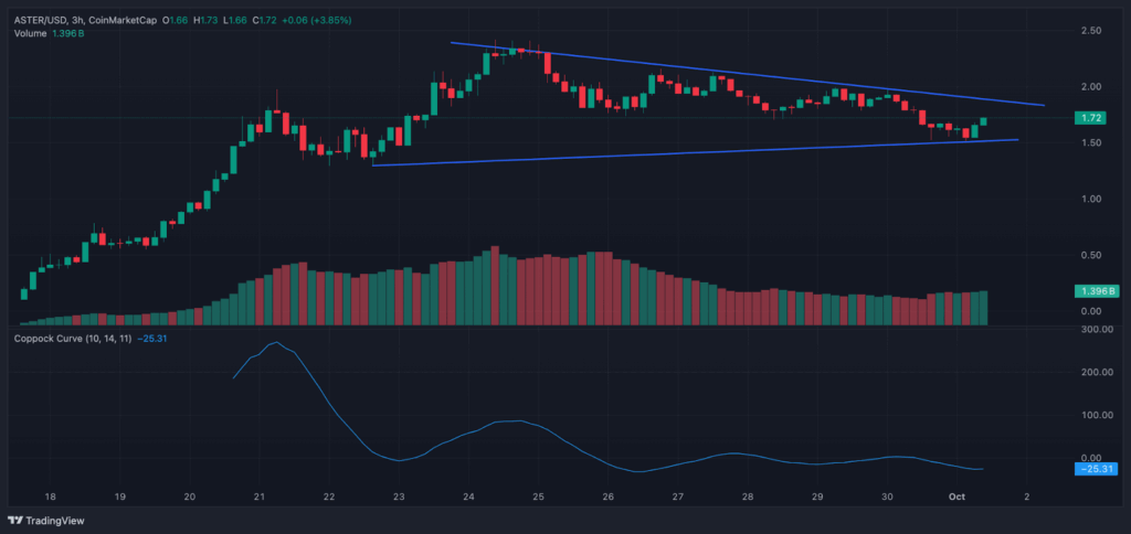 MrBeast Crypto Pockets: Did He Purchase ASTER? Which Altcoins Are Subsequent