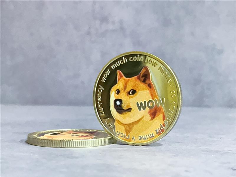 Elon Musk può spingere Dogecoin a $0,5: ecco le migliori meme coin da acquistare ora