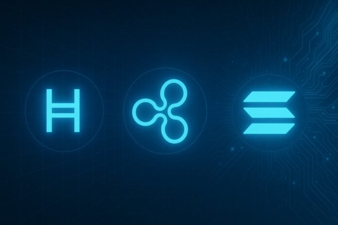 xrp hedera solana
