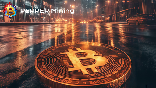 Bitcoin Volatility and PEPPER Mining's Stable Returns Attract Investor Attention