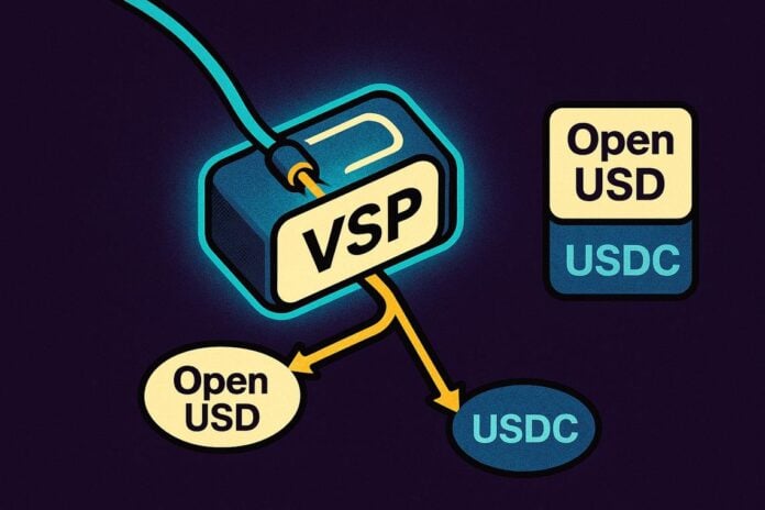 piattaforma stablecoin Visa
