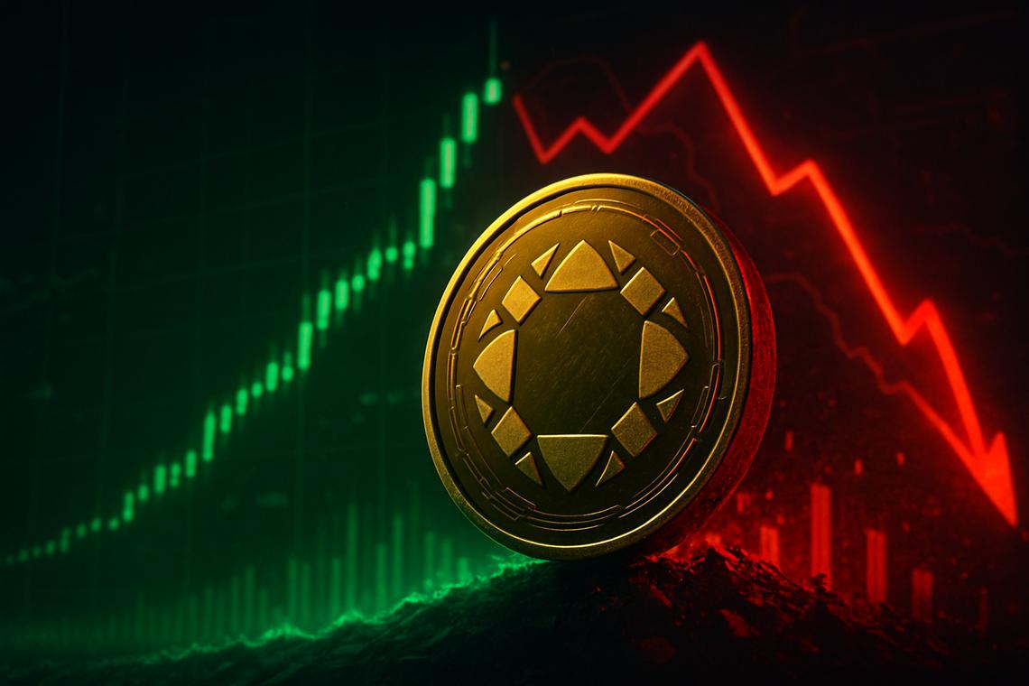 Rubrik Stock