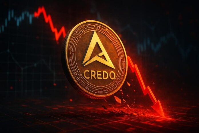 Credo Technology Group Holding stock